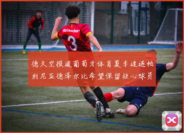 德天空报道葡萄牙体育夏季追逐帕利尼亚德泽尔比希望保留核心球员