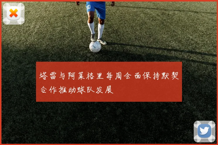 塔雷与阿莱格里每周会面保持默契合作推动球队发展