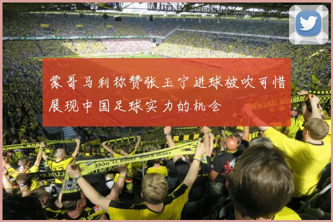 蒙哥马利称赞张玉宁进球被吹可惜展现中国足球实力的机会