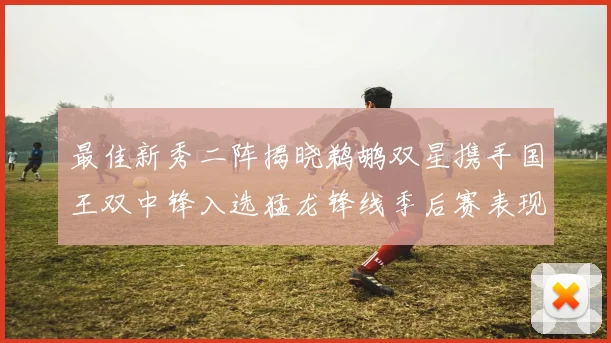 最佳新秀二阵揭晓鹈鹕双星携手国王双中锋入选猛龙锋线季后赛表现抢眼